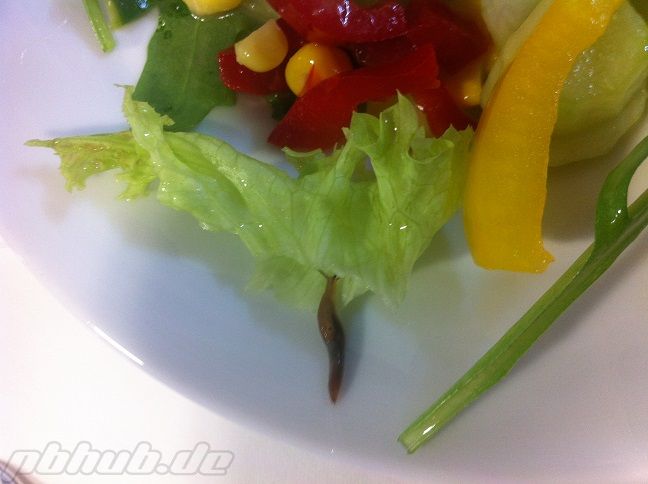 salat.jpg